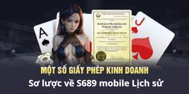 Sơ lược về S689 mobile Lịch sử, Giấy phép và Uy tín