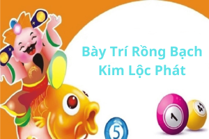 Những Lưu Ý Khi Chọn Mua Và Bày Trí Rồng Bạch Kim Lộc Phát