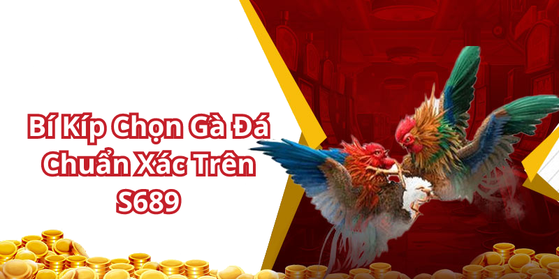 Bí Kíp Chọn Gà Đá Chuẩn Xác Trên S689